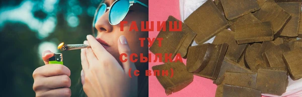 тгк Алзамай
