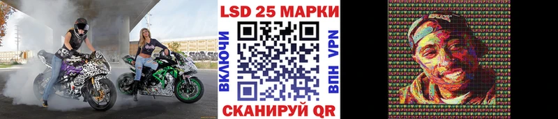 дарнет шоп  Павловская  Наркотические марки 1,5мг 