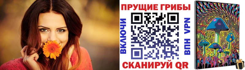 закладки  Павловская  hydra ТОР  Псилоцибиновые грибы мицелий 